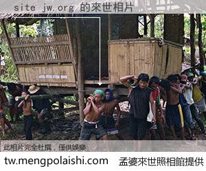 site jw.org 來世的未來相片