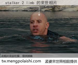 stalker 2 limb 來世的未來相片