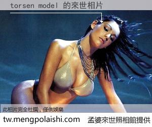 torsen model 來世的未來相片