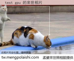test gpu 來世的未來相片