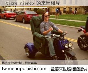 tigre riendo 來世的未來相片
