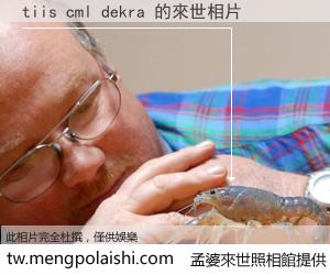 tiis cml dekra 來世的未來相片