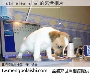 utn elearning 來世的未來相片