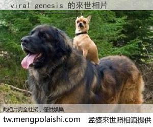 viral genesis 來世的未來相片