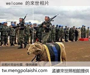 welcome 來世的未來相片