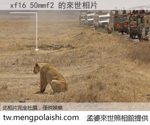 xf16 50mmf2 來世的未來相片
