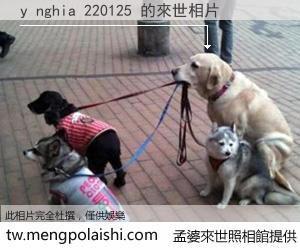 y nghia 220125 來世的未來相片