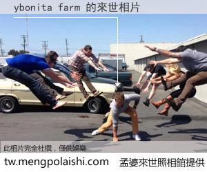 ybonita farm 來世的未來相片