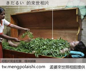 きだるい 來世的未來相片