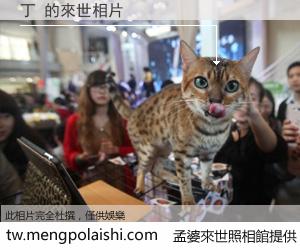 丁 來世的未來相片