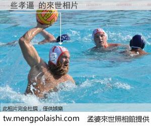 些孝逼 來世的未來相片