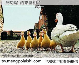 吳昀潔 來世的未來相片