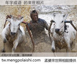 年字成语 來世的未來相片