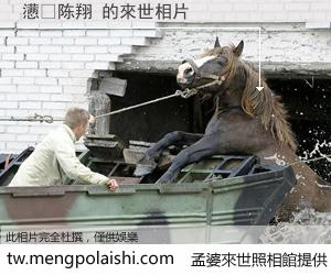 懑�陈翔 來世的未來相片