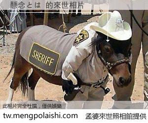 懸念とは 來世的未來相片