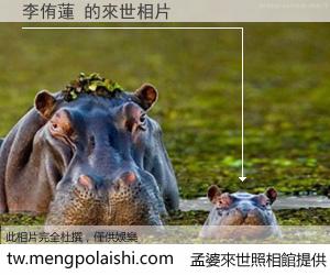 李侑蓮 來世的未來相片
