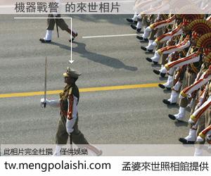 機器戰警 來世的未來相片