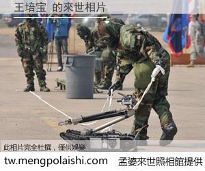 王培宝 來世的未來相片