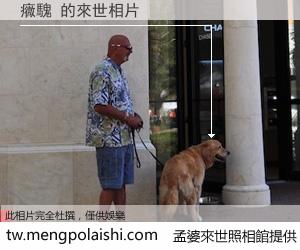 癓騩 來世的未來相片