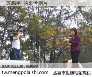 苏鹏宇 來世的未來相片