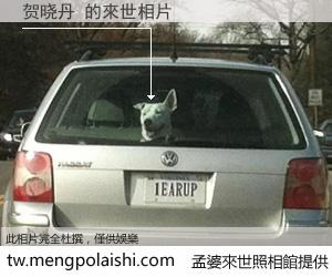 贺晓丹 來世的未來相片
