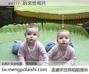 .eviir 來世的未來相片