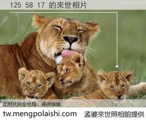 125 58 17 來世的未來相片