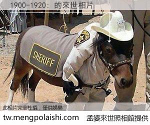 1900-1920: 來世的未來相片