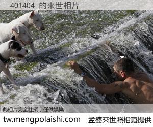 401404 來世的未來相片