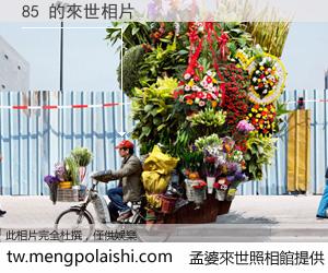 85 來世的未來相片