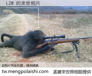 LZW 來世的未來相片