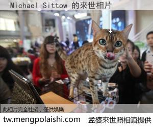 Michael Sittow 來世的未來相片