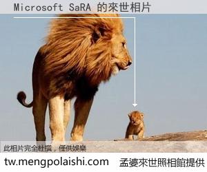 Microsoft SaRA 來世的未來相片