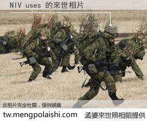 NIV uses 來世的未來相片