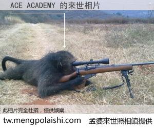 ACE ACADEMY 來世的未來相片