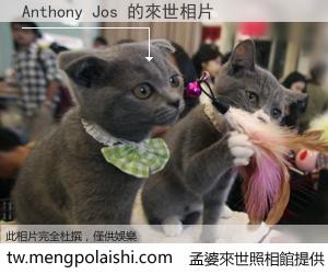 Anthony Jos 來世的未來相片