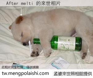 After melti 來世的未來相片