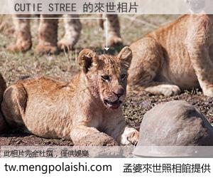 CUTIE STREE 來世的未來相片