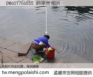DW60T7065SS 來世的未來相片