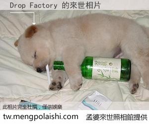 Drop Factory 來世的未來相片