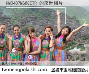 HMC407MS8GETR 來世的未來相片