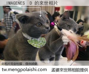 IMAGENES  D 來世的未來相片