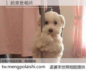 ] 來世的未來相片