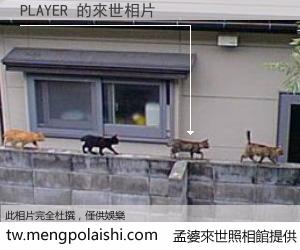 PLAYER 來世的未來相片