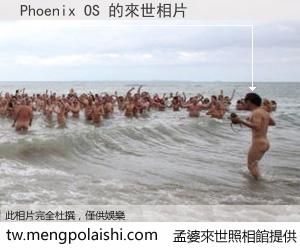 Phoenix OS 來世的未來相片