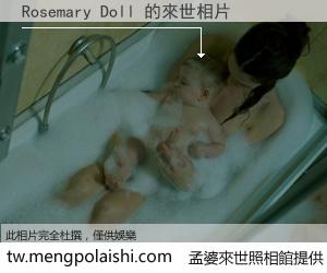 Rosemary Doll 來世的未來相片