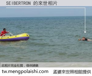 SEIBERTRON 來世的未來相片