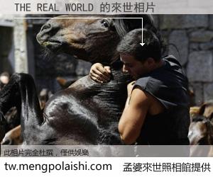 THE REAL WORLD 來世的未來相片