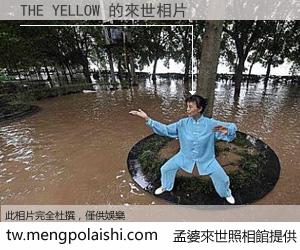 THE YELLOW 來世的未來相片