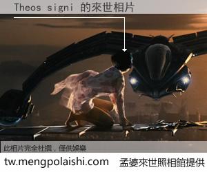 Theos signi 來世的未來相片